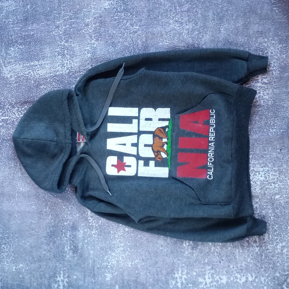 CALIFORNIA Republic Bear & Flag Graphic Hoodie